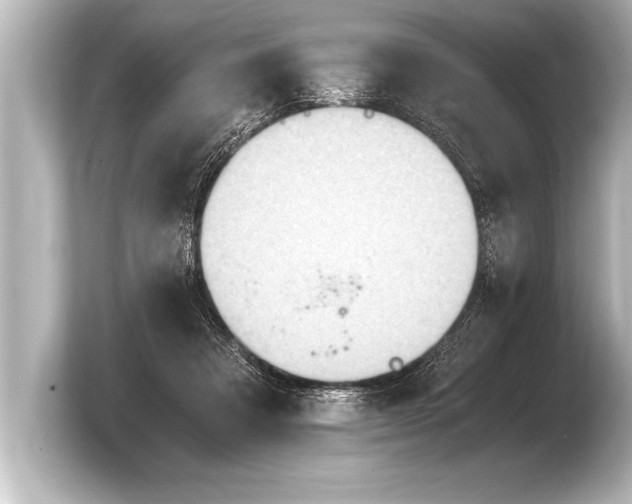 X0000103960313200810031209