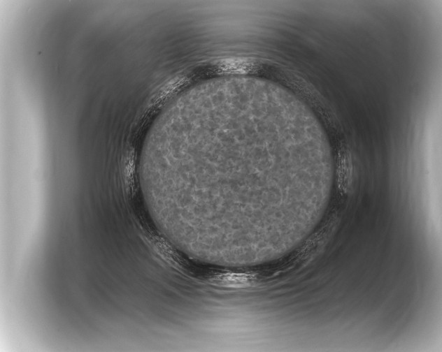 X0000103960314200810031209