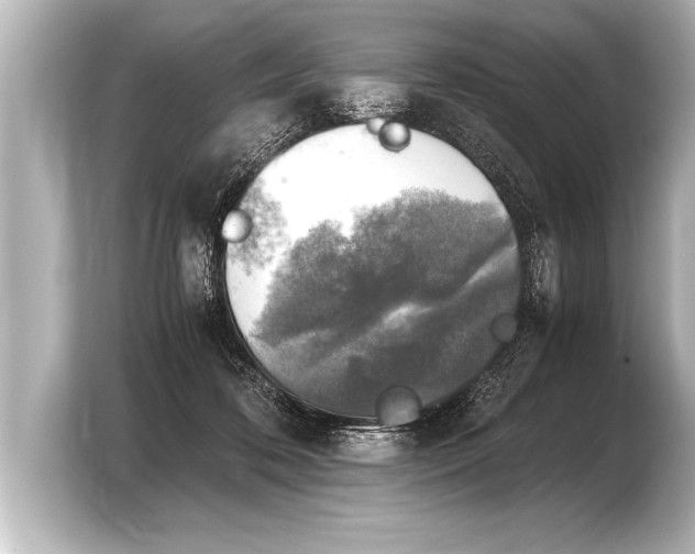X0000103960316200810031209