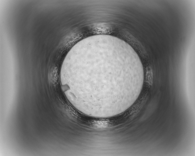 X0000103960318200810031209