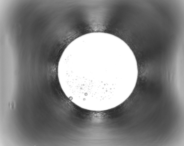 X0000103960321200810031209