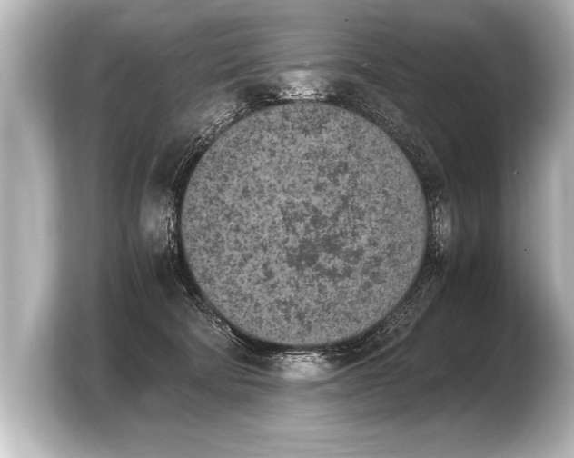 X0000103960322200810031209