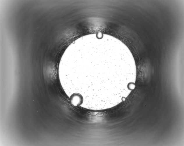X0000103960324200810031209
