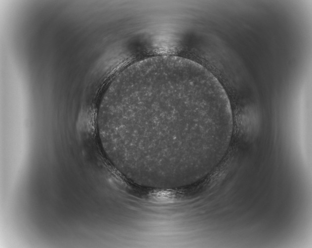 X0000103960325200810031209