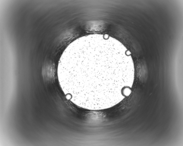 X0000103960328200810031209