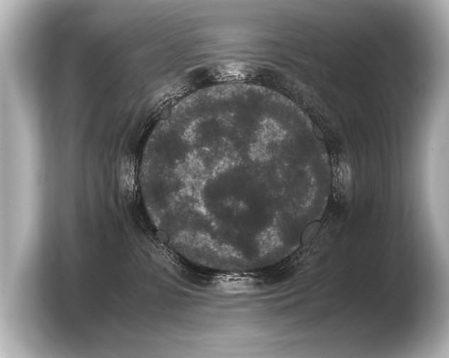 X0000103960331200810031209