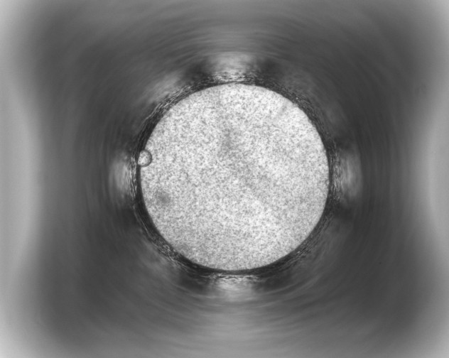 X0000103960332200810031209
