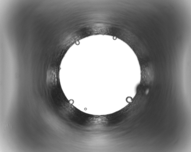 X0000103960333200810031209