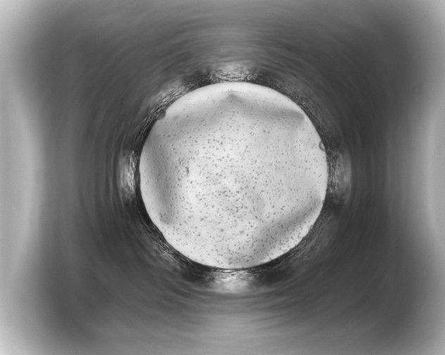 X0000103960334200810031209