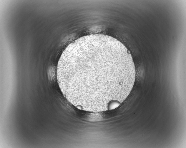X0000103960335200810031209