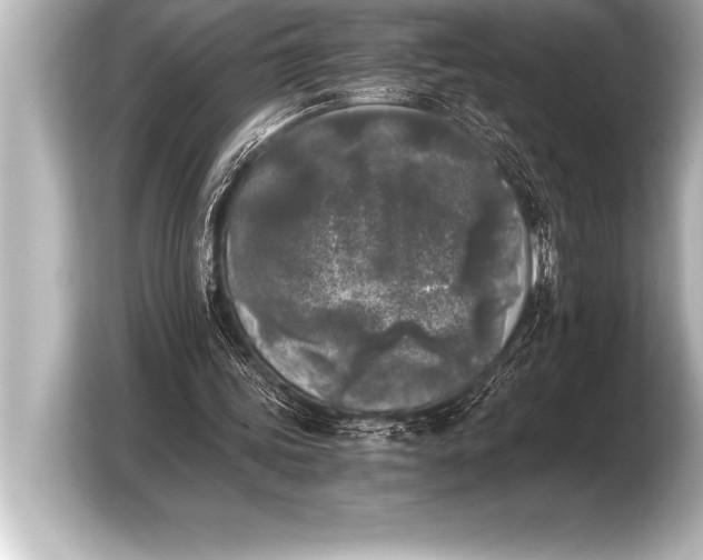 X0000103960339200810031208