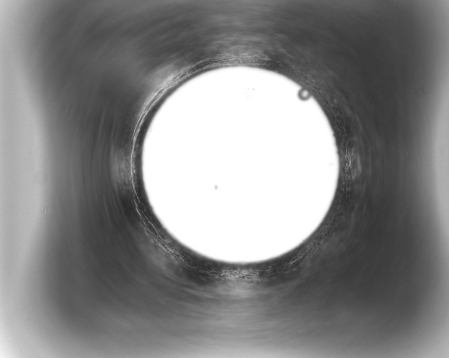 X0000103960340200810031208