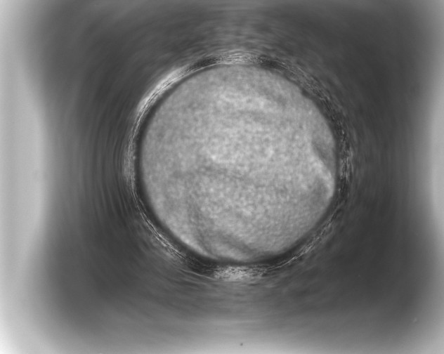 X0000103960341200810031208