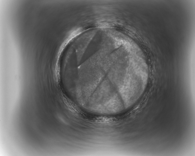 X0000103960343200810031208