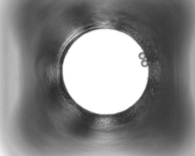 X0000103960344200810031208