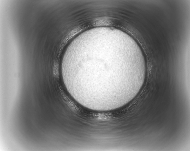 X0000103960345200810031209