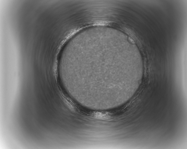 X0000103960346200810031209