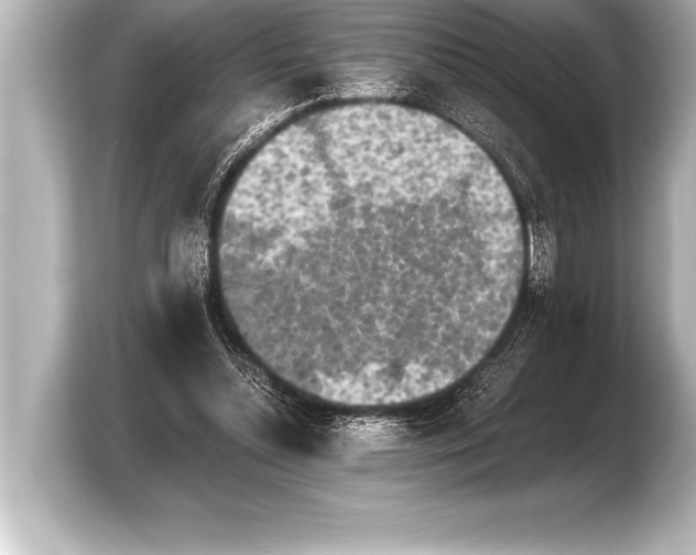 X0000103960348200810031209