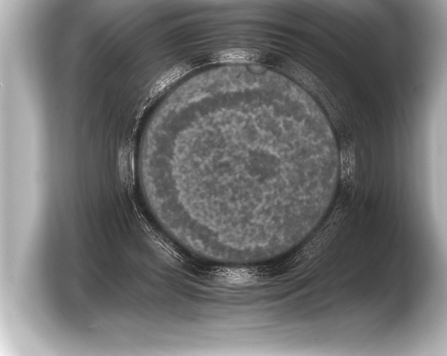 X0000103960349200810031209