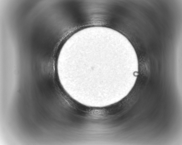 X0000103960350200810031209