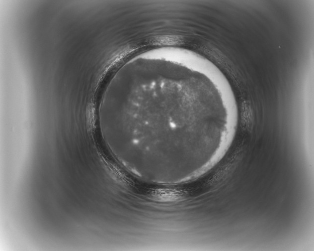 X0000103960351200810031209