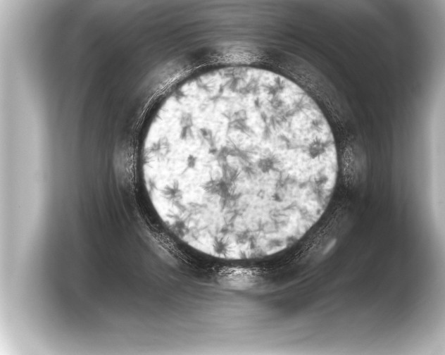 X0000103960352200810031209