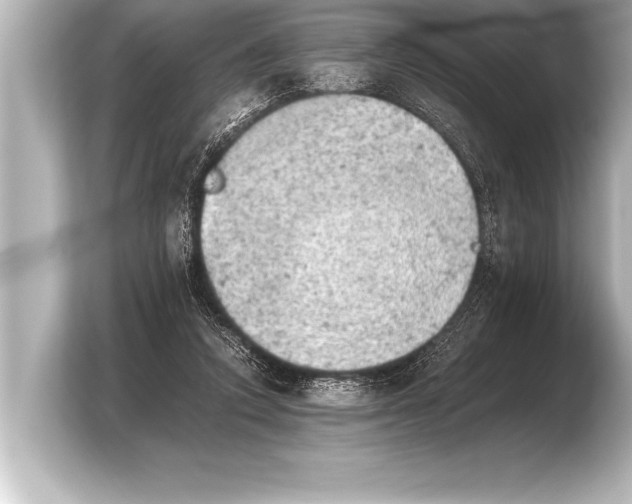 X0000103960354200810031209