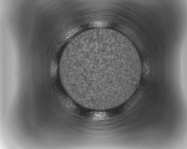 X0000103960355200810031209