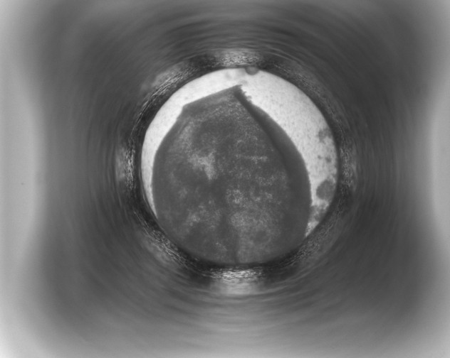 X0000103960357200810031209