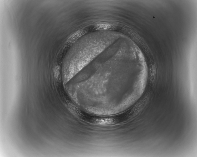 X0000103960361200810031209