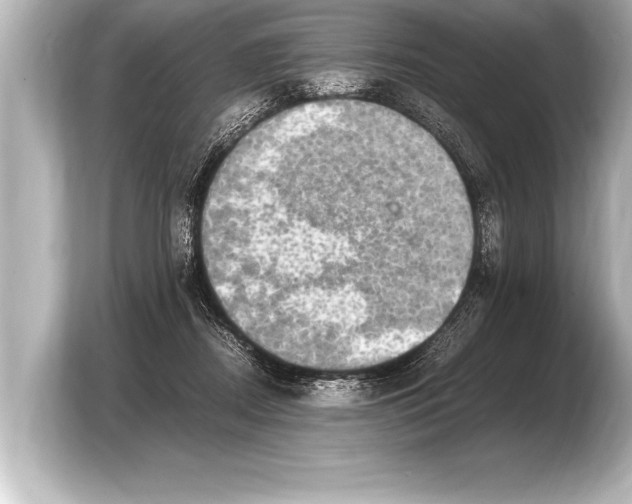 X0000103960362200810031209
