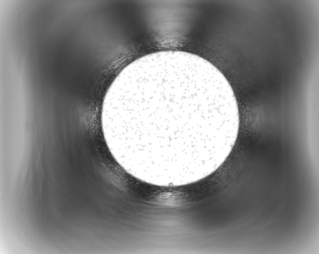 X0000103960364200810031209