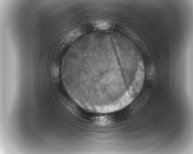 X0000103960365200810031209