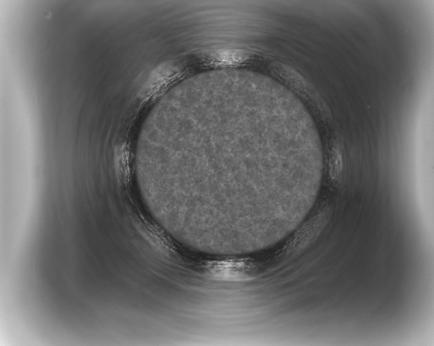 X0000103960366200810031209