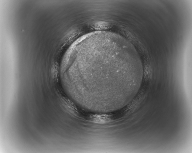 X0000103960367200810031209