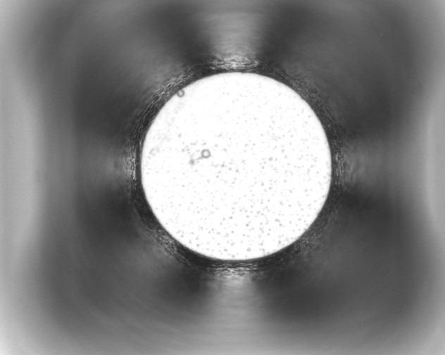 X0000103960368200810031209