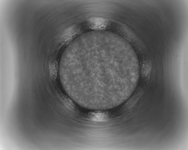 X0000103960370200810031209