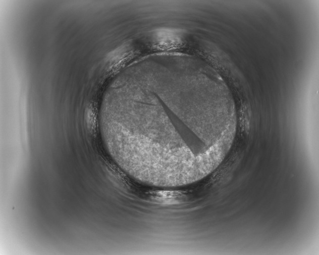 X0000103960371200810031209