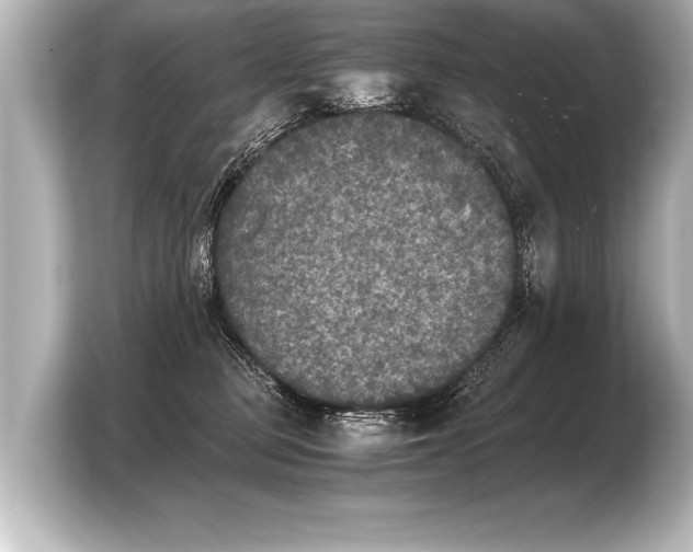 X0000103960373200810031209