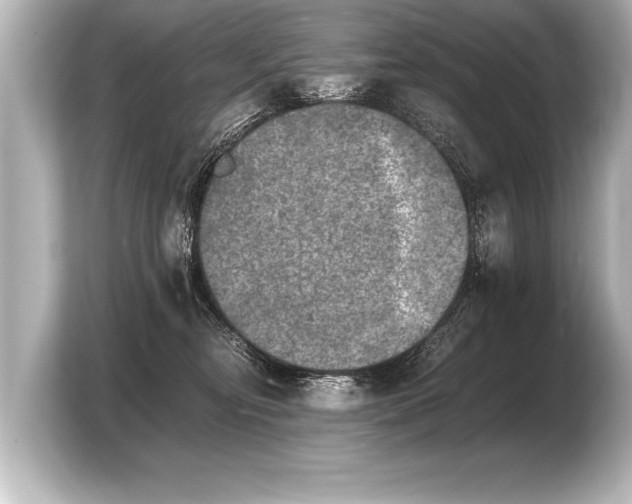 X0000103960374200810031209