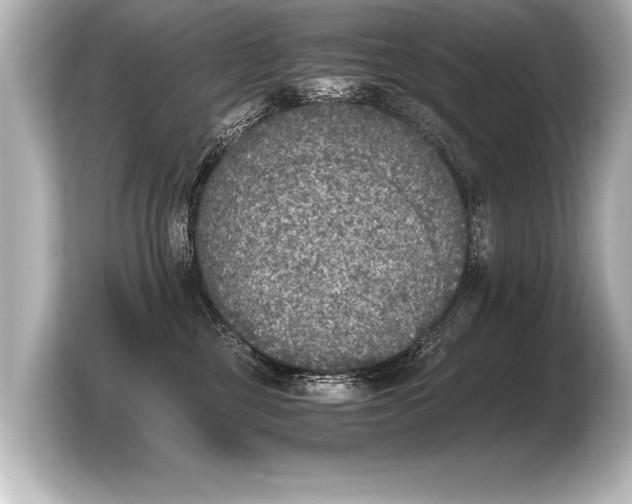 X0000103960377200810031209