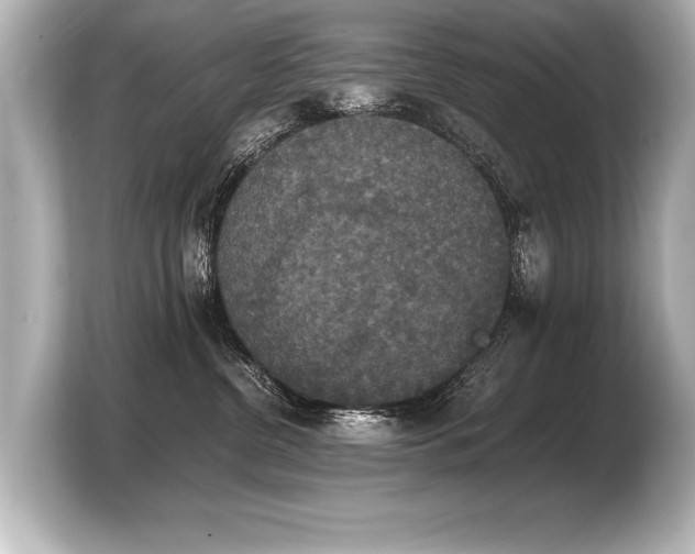 X0000103960380200810031209