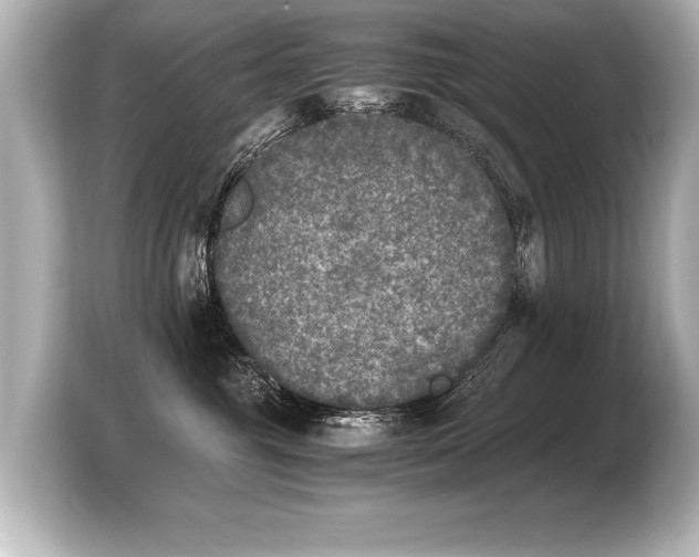 X0000103960381200810031209
