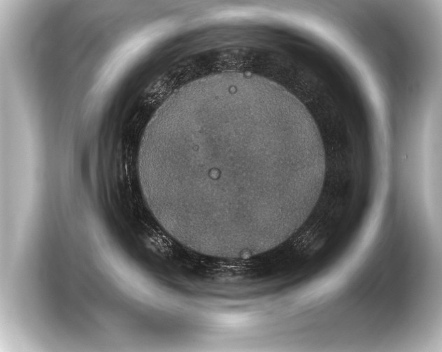 X0000103960382200810031209