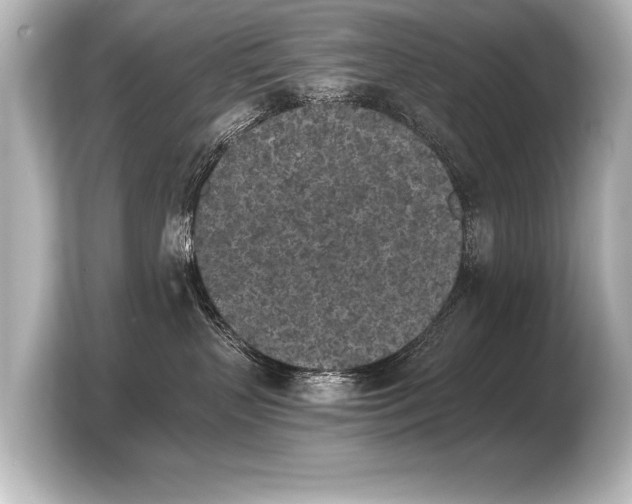 X0000103960383200810031209