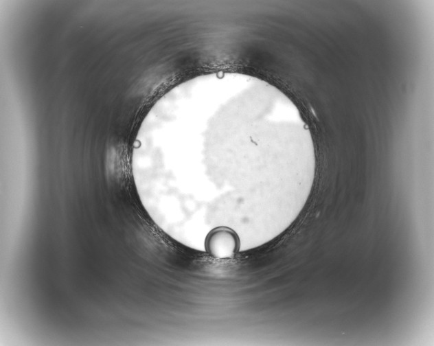 X0000103960384200810031209
