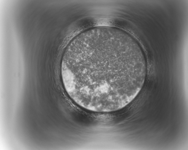 X0000103960385200810031208