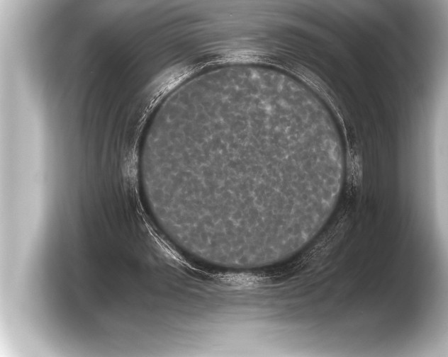X0000103960389200810031208