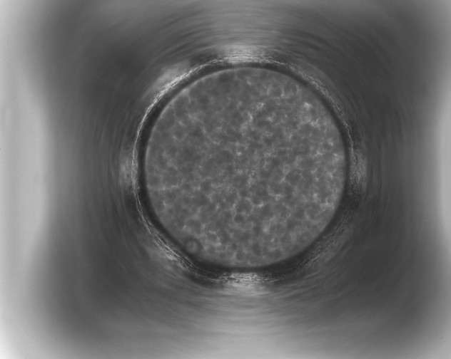 X0000103960391200810031208