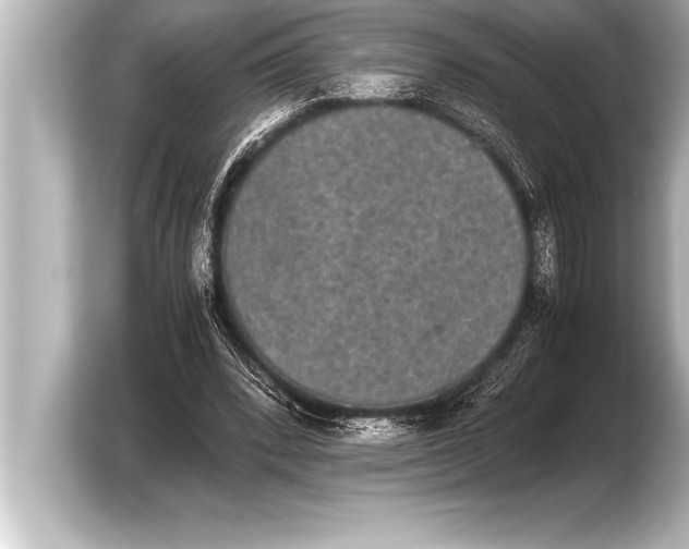 X0000103960392200810031208
